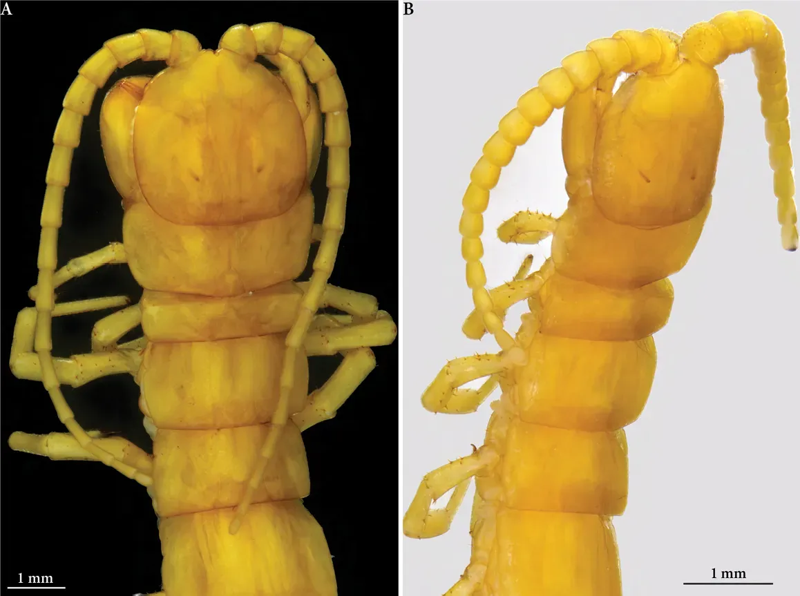 Living at the Edge of What's Possible (Image Credits: Wikimedia)