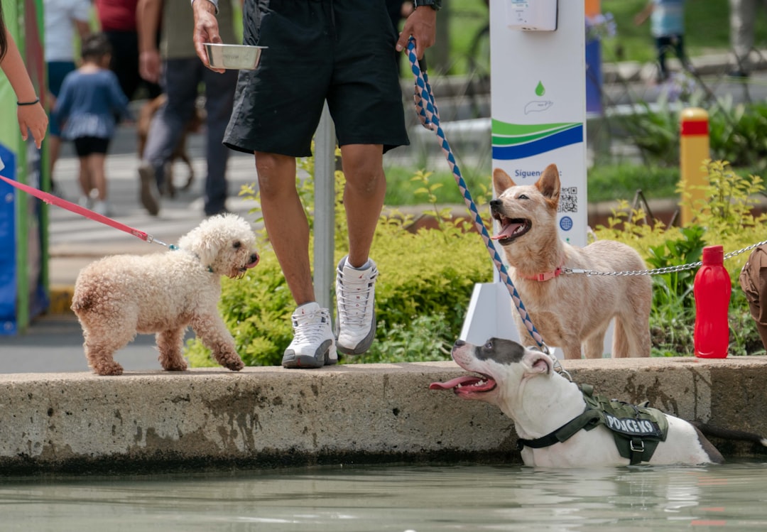 Water s: Cancer, Scorpio, Pisces (Image Credits: Unsplash)