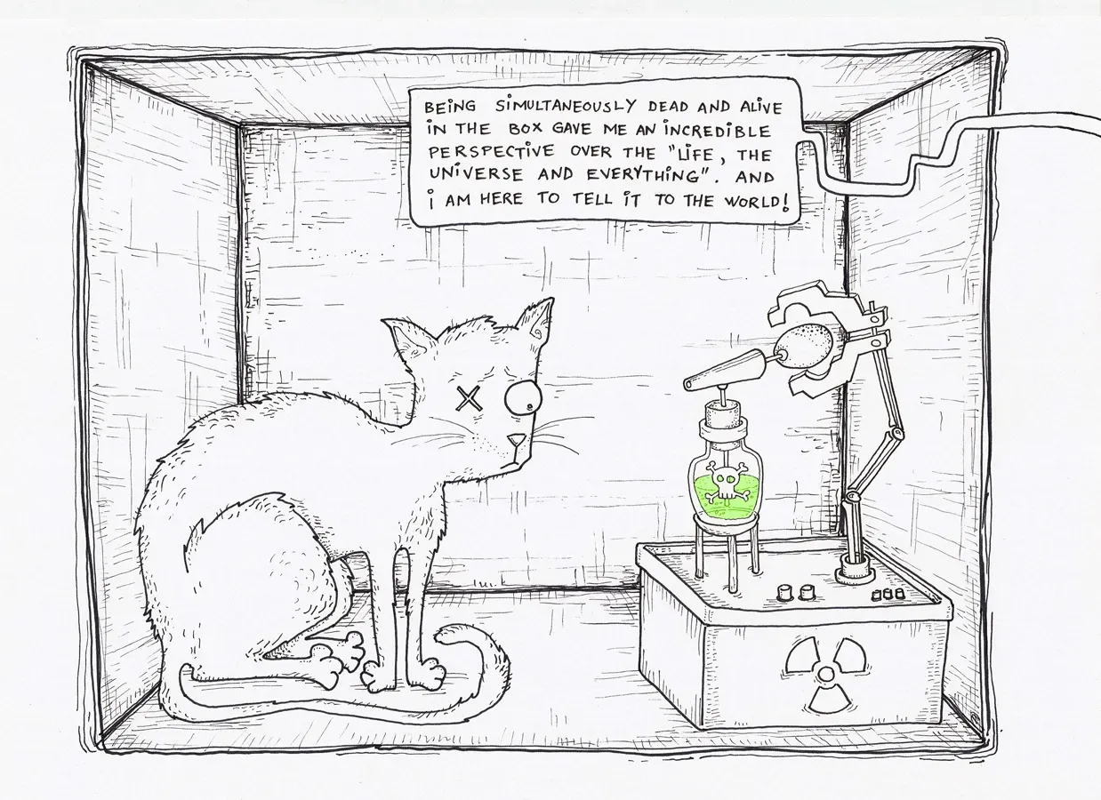Schrödinger’s Cat: The Thought Experiment That Refuses to Die (Image Credits: Wikimedia)