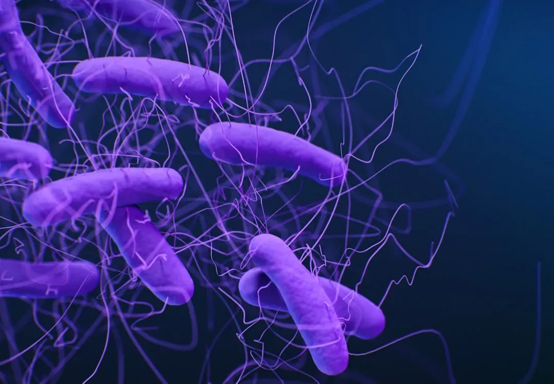 Microbiomes Across Life Stages: From Birth to Old Age (Image Credits: Unsplash)