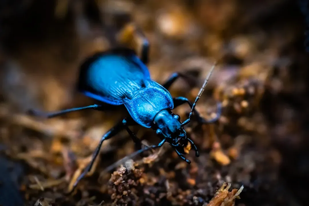 Why It Matters: More Than Just New Names (Image Credits: Unsplash)