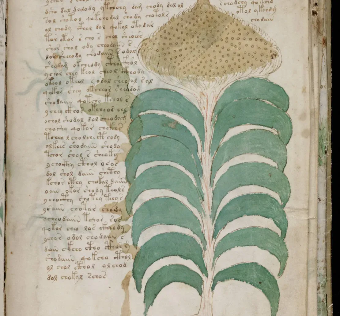 #15 – The Voynich Manuscript: A Book Nobody Can Read (Image Credits: Wikimedia)