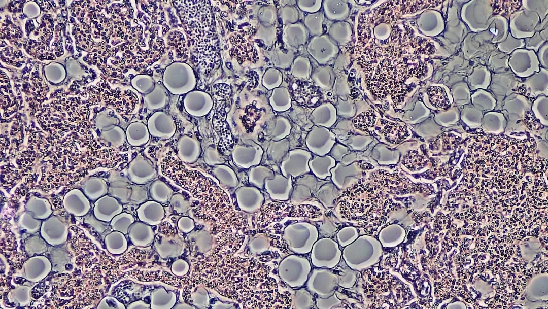 Senescent Cells Poison Their Neighbors (Image Credits: Unsplash)