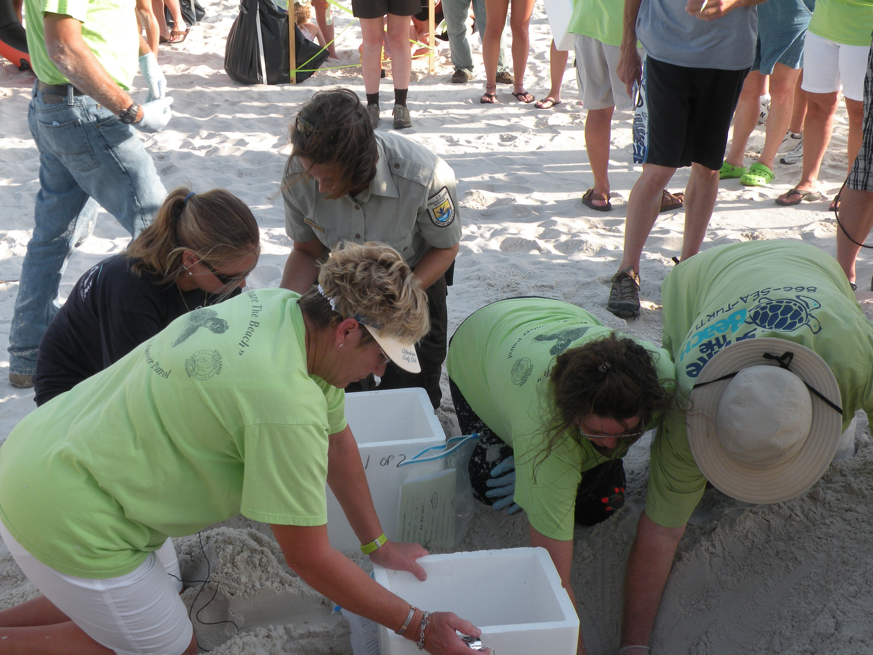 The Future Landscape: Tech, Training, and Global Implications (Image Credits: Wikimedia)