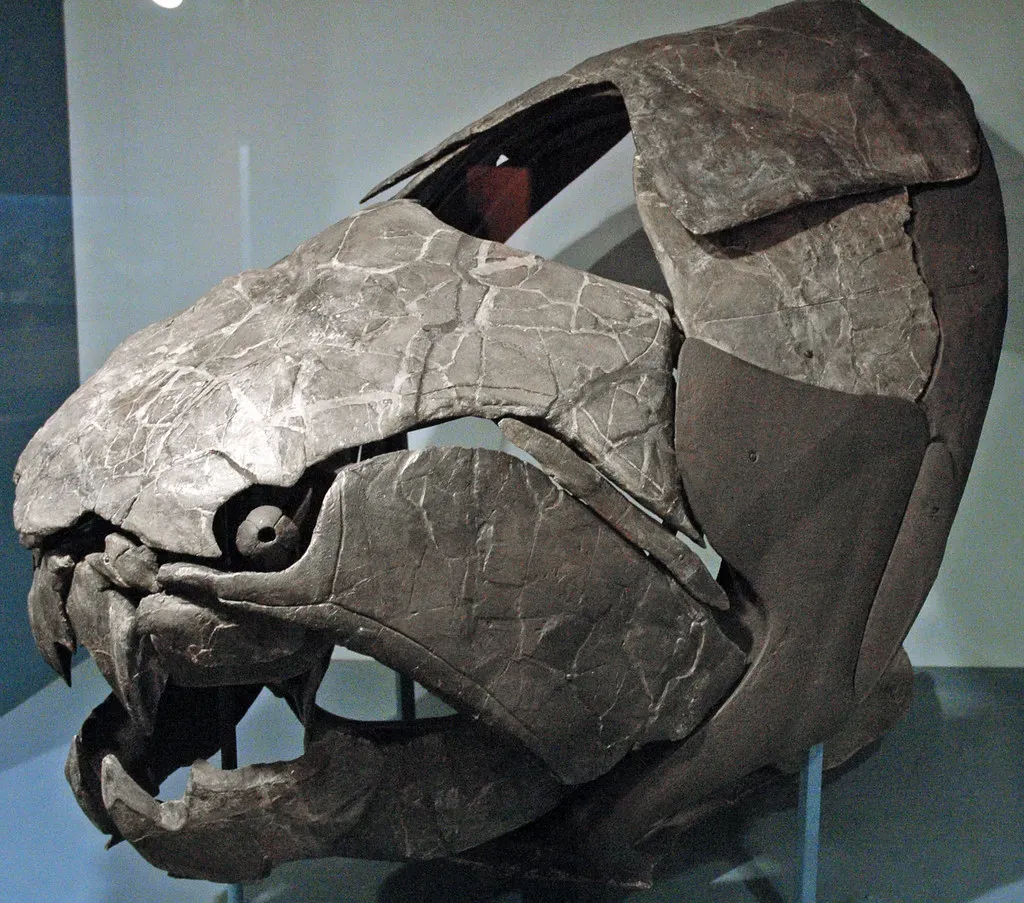#4 - Dunkleosteus: Armored Fish Turned Into a Monster Head Only (James St. John, Flickr, CC BY 2.0)