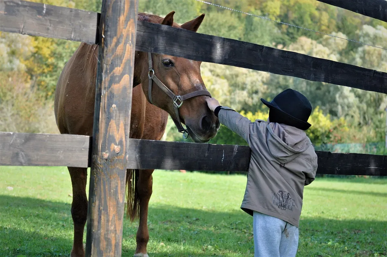 What This Means for Your Bond With Your Pet (Image Credits: Pixabay)