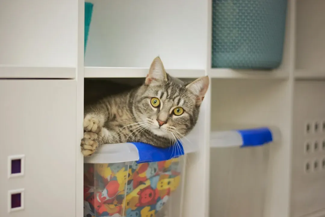 They’re Responding to Other Animals You May Not Notice (Image Credits: Unsplash)