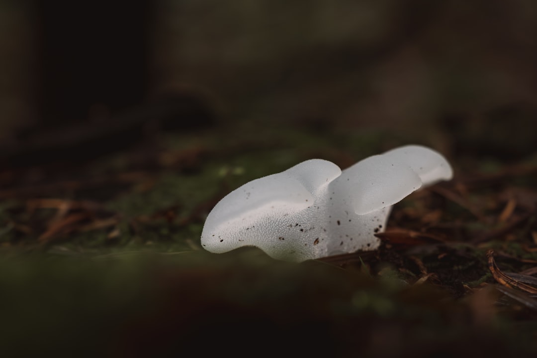 The Future Landscape (Image Credits: Unsplash)