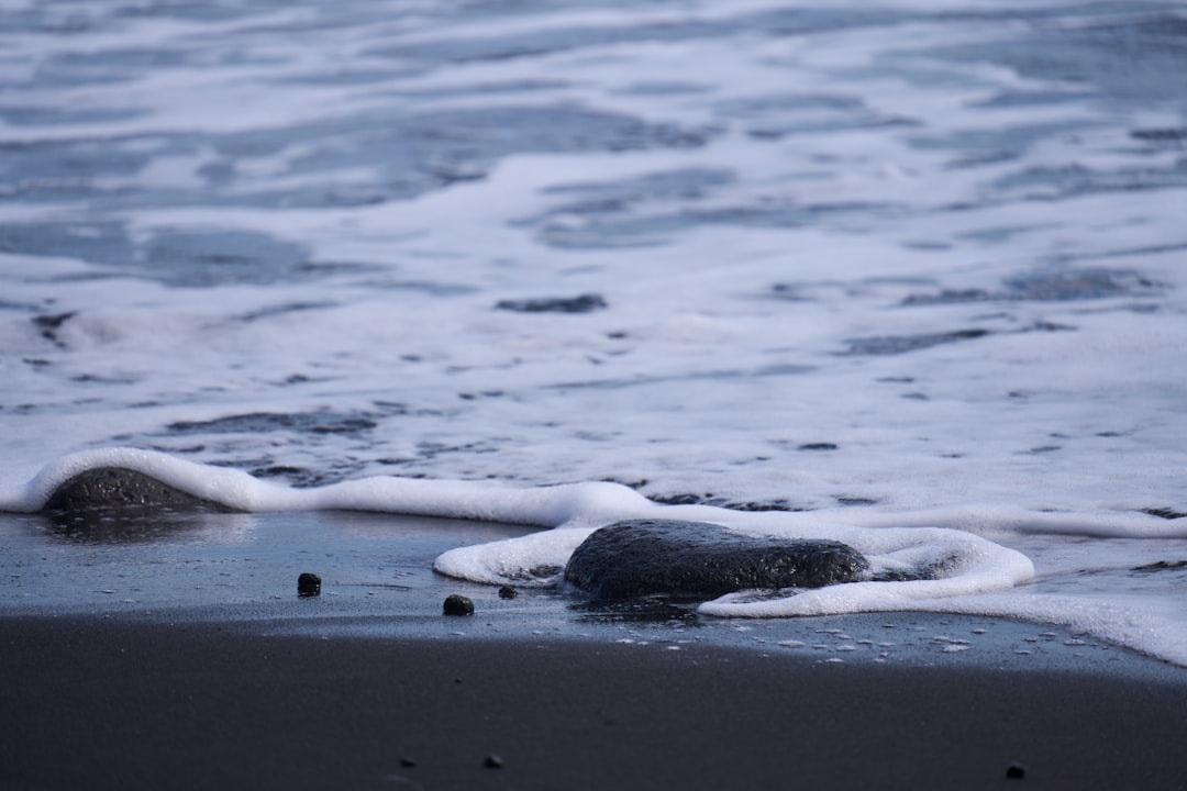 The Hidden Clues (Image Credits: Unsplash)