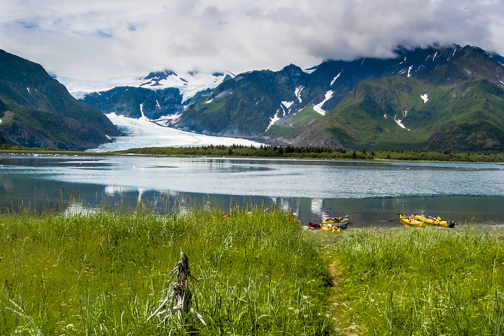 Pedersen Glacier - Kenai Fjords' Disappearing Ice River (Image Credits: Flickr)