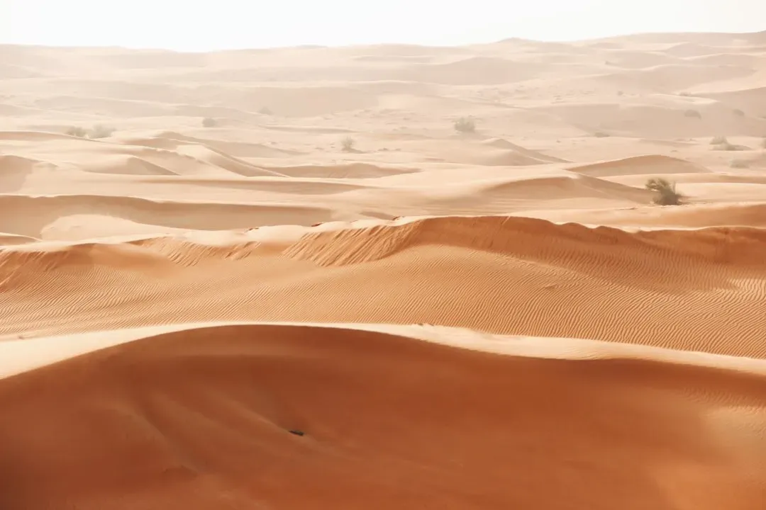 Deserts and Dunes: The Strange Memory of Wind (Image Credits: Unsplash)