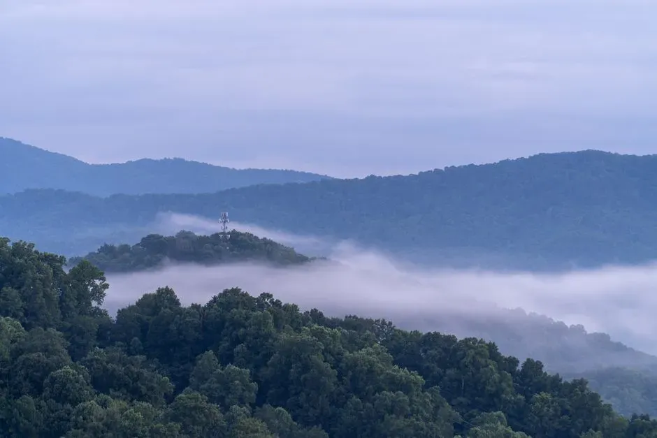 6. Erosion Has Worn the Appalachians Down from Himalayan Heights (Image Credits: Pexels)