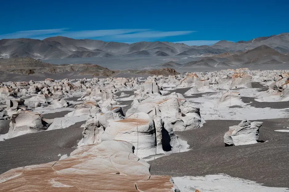 Conclusion: Earth, Our Very Own Alien World (Image Credits: Pexels)