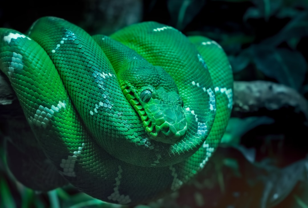 The Hidden Clues (Image Credits: Unsplash)