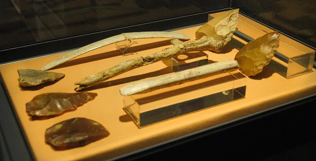 #10 - The Mystery Ivory Tools of Prehistoric Venezuela (Image Credits: Unsplash)