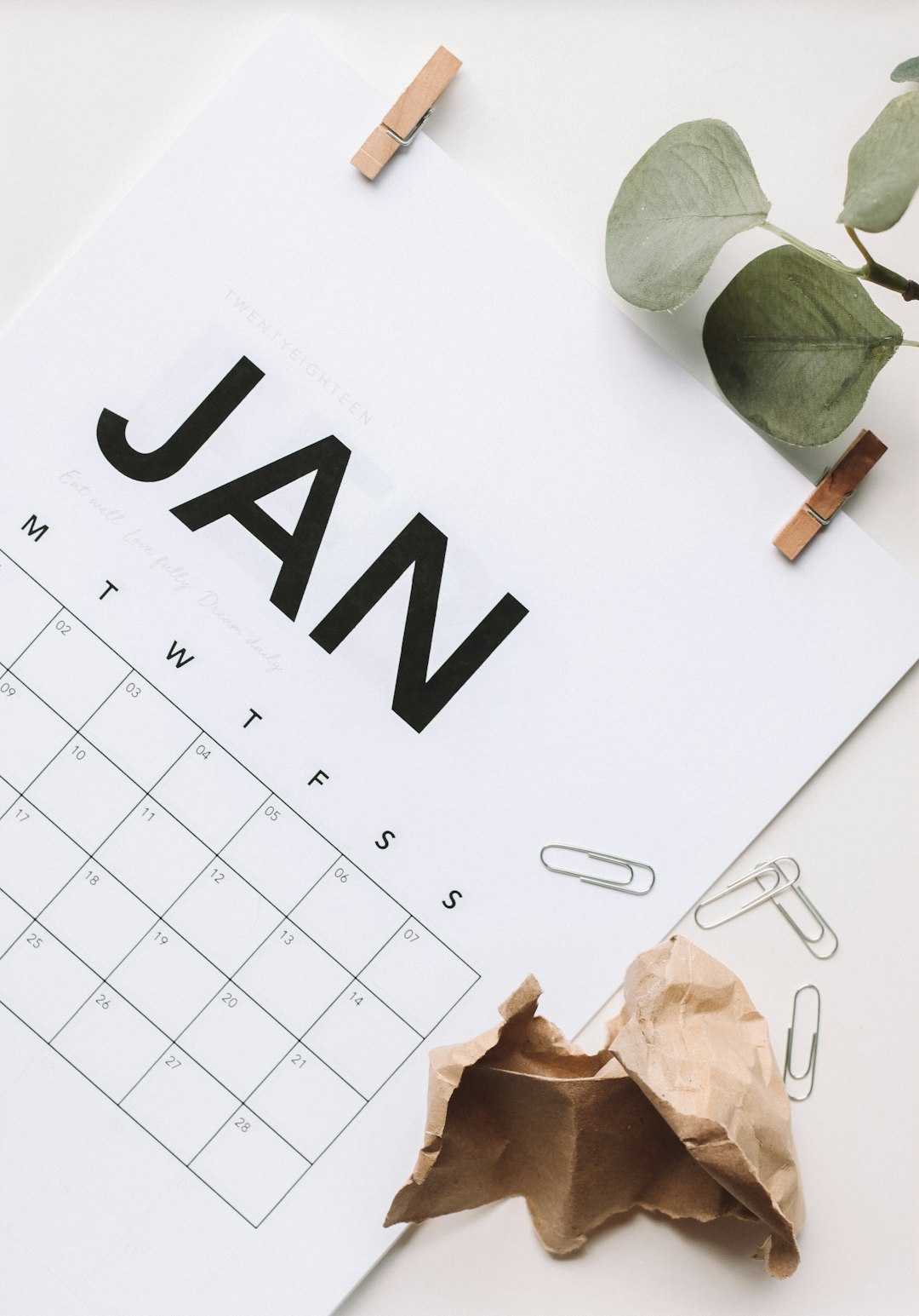 The Calendar of Creatures (Image Credits: Unsplash)