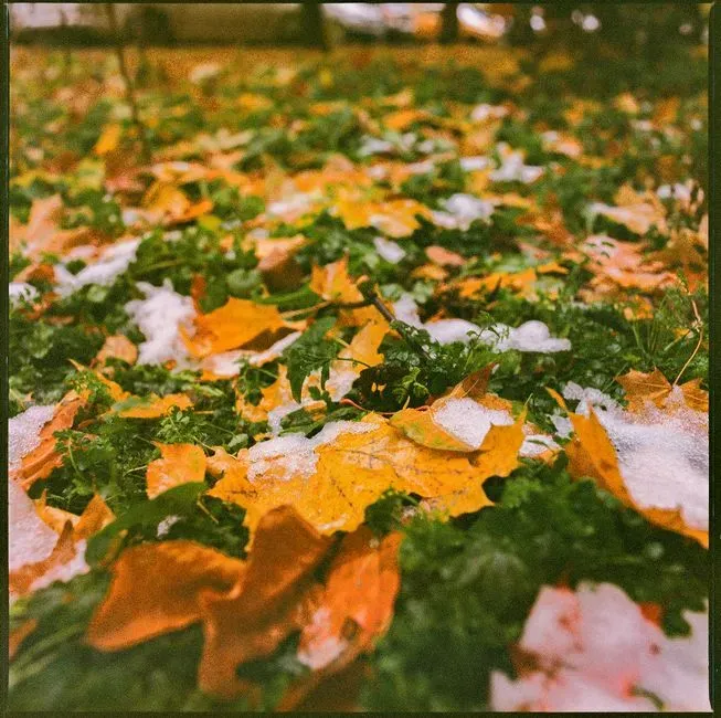 10. The First Hints of Snow and Persistent Cold Arrive (Image Credits: Pexels)