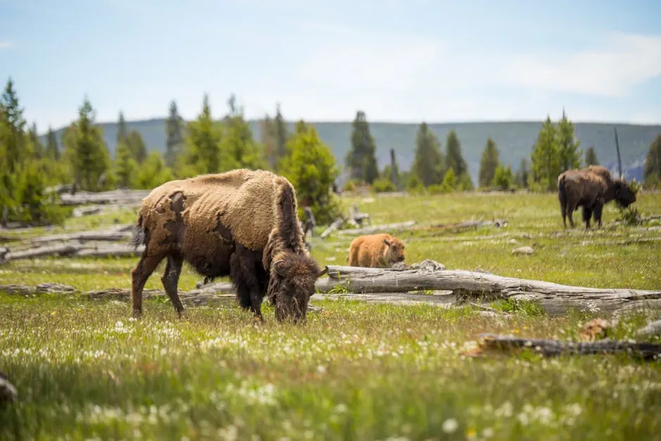 Conclusion: Choosing Respect Over Recklessness (Image Credits: Pexels)