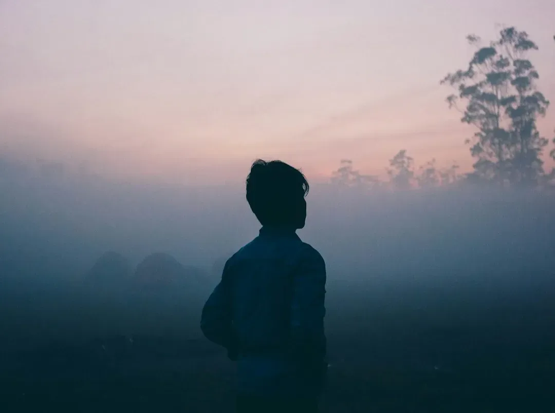 7. They’re Much More Sensitive Than They Seem (Image Credits: Unsplash)