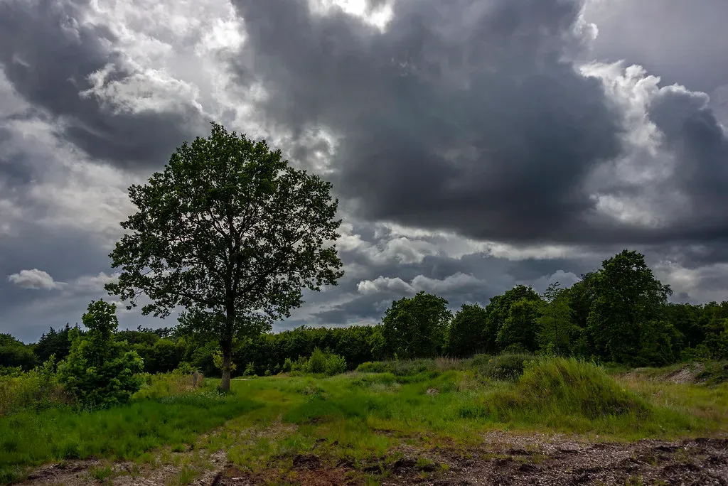 Monsoons and the Rise of Ancient Civilizations in South and East Asia (Image Credits: Flickr)