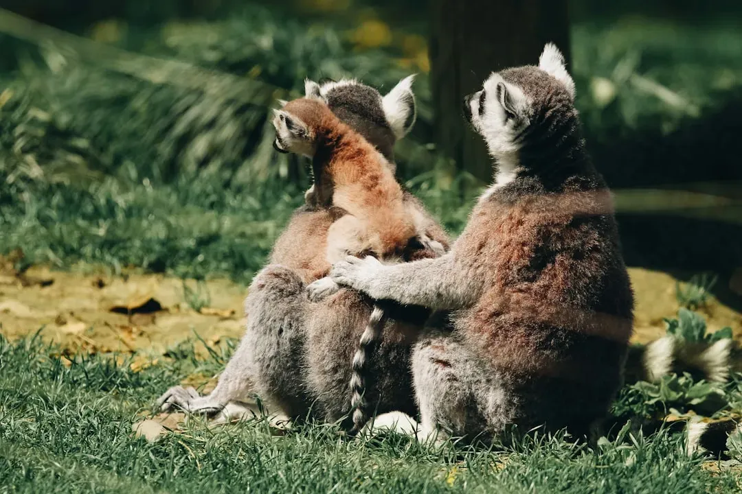 Kin Selection: When Sacrifice For Family Still Benefits You (Image Credits: Unsplash)