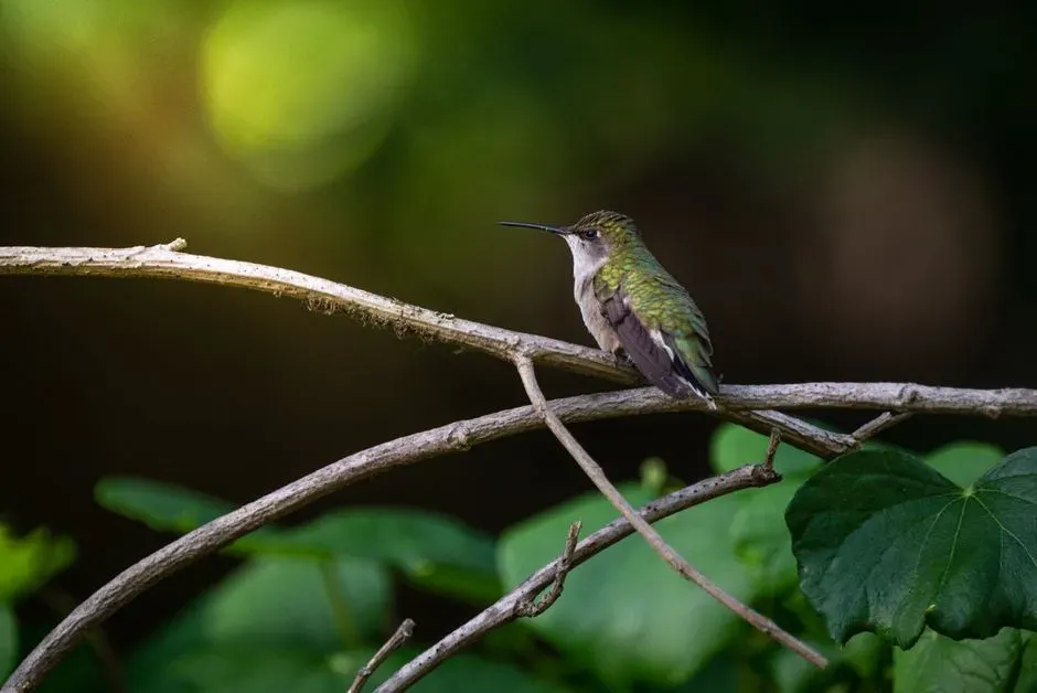 3. Shifting to Low, Sheltered Perches (Image Credits: Pexels)