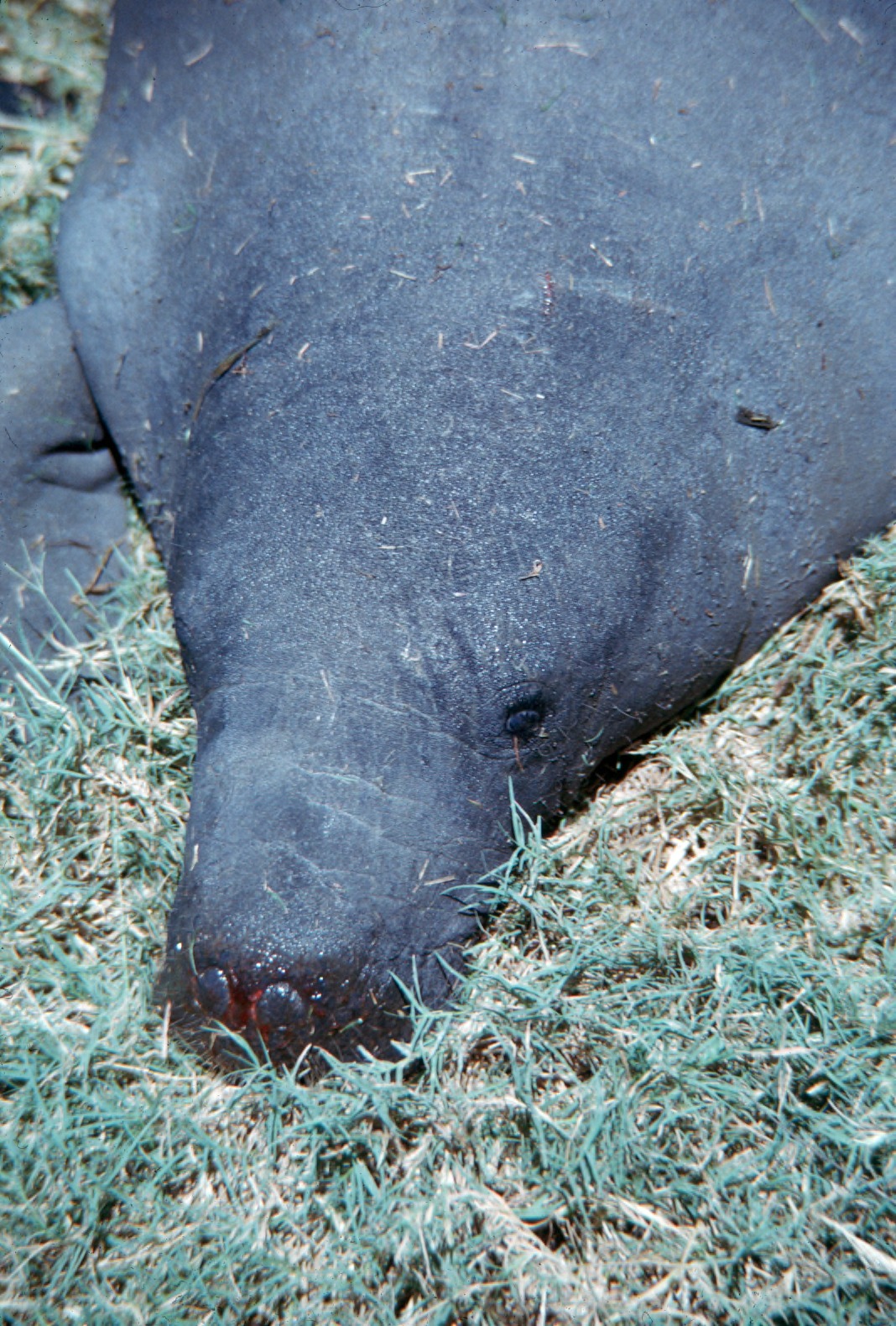 Why It Matters (Image Credits: Wikimedia)