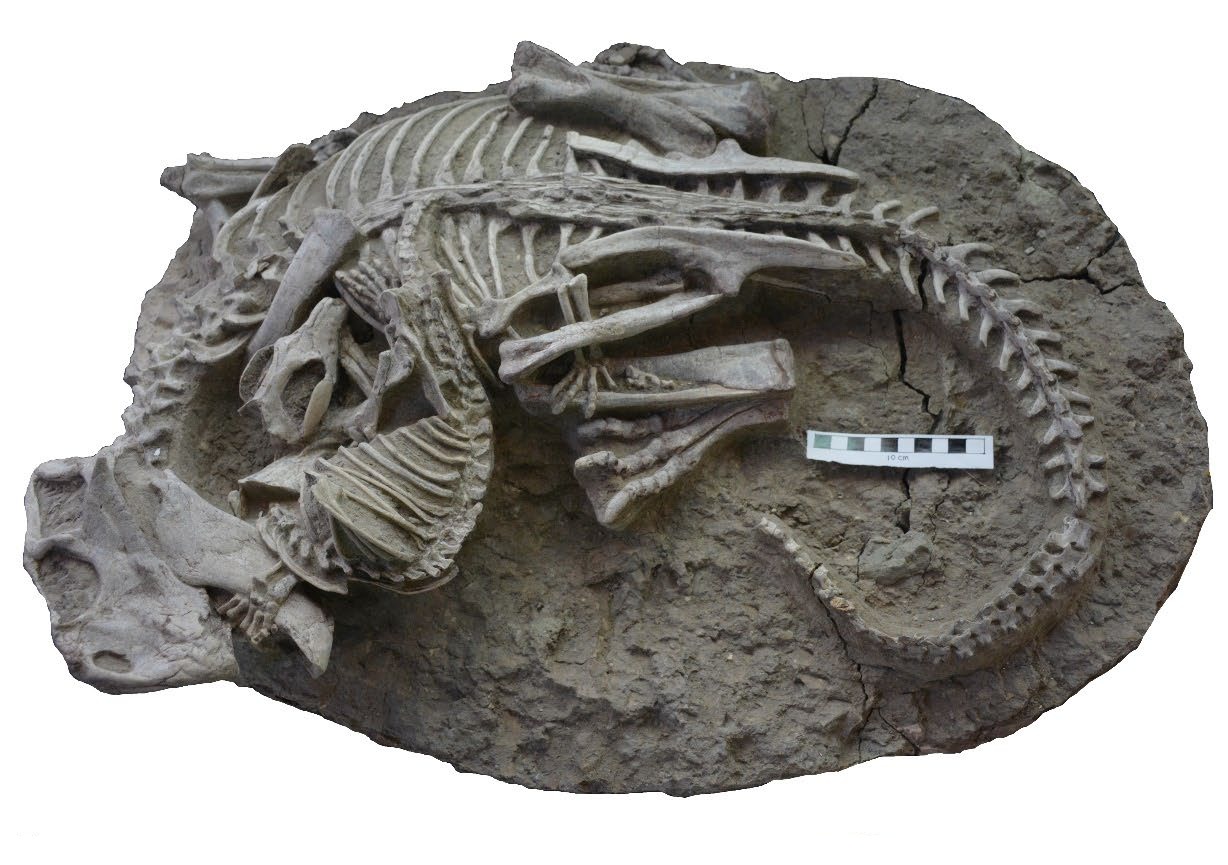 Evidence Written in Stone (Image Credits: Wikimedia)