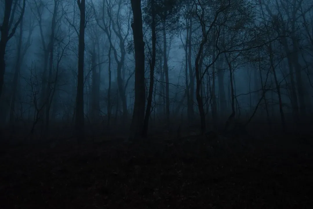 The Hidden Dangers Wild Environments Once Held (Image Credits: Unsplash)