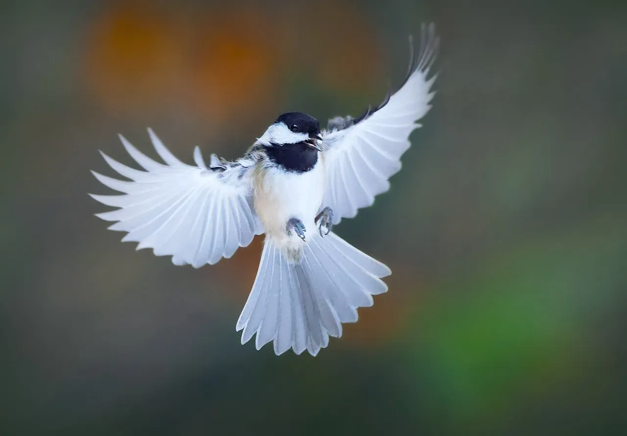 9. They Use Social Rank to Decide When to Fight or Flee (Image Credits: Pixabay)