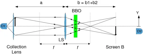 Quantum Uncertainty and the Illusion of Mental Determinism (Image Credits: Wikimedia)