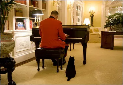 What This Means for Life at Home With Your Cat (By Paul Morse, Public domain)