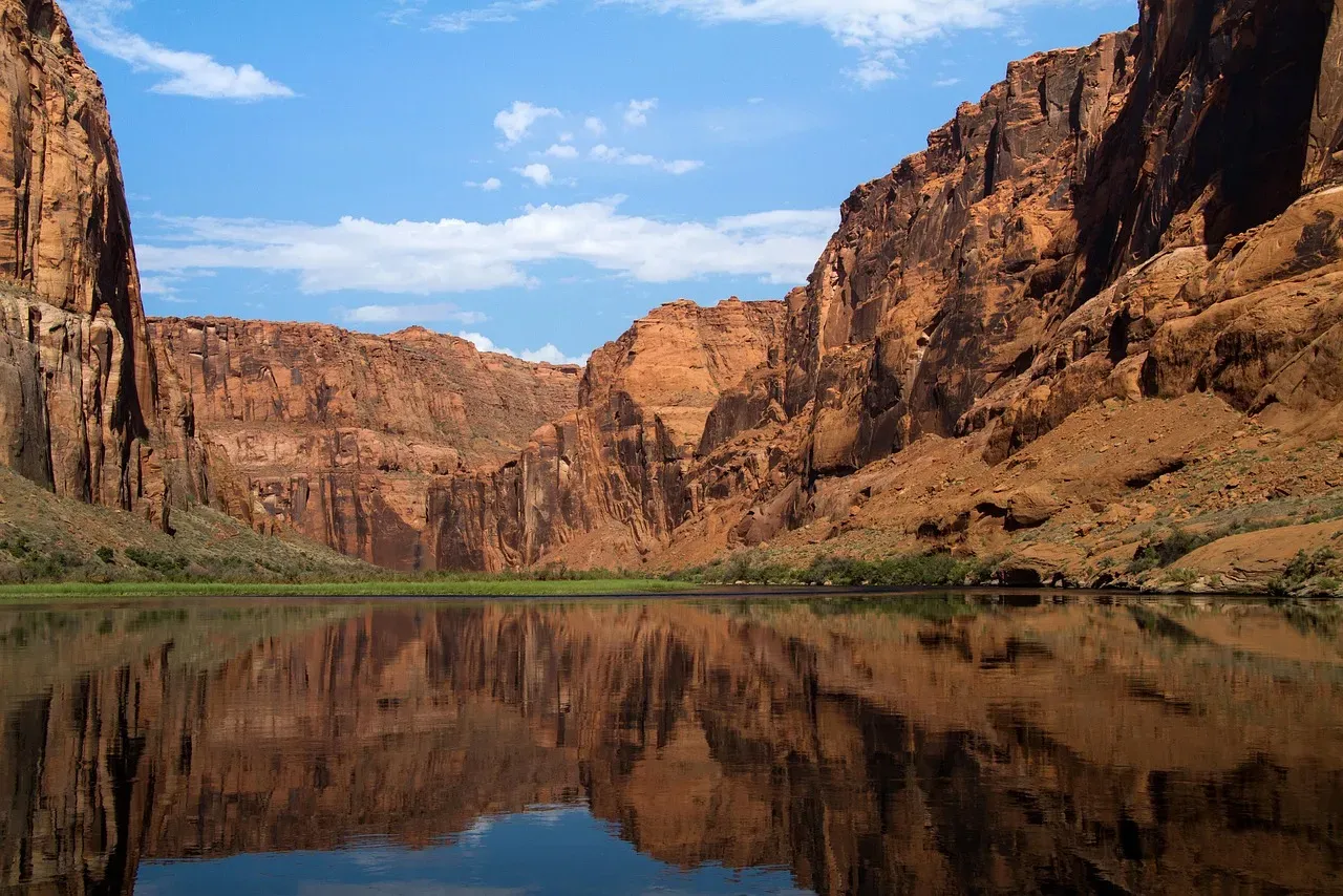 A Vibrant Lost Ecosystem Fed by a Pooled River (Image Credits: Pixabay)