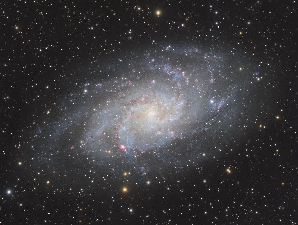 Conclusion (Image Credits: Flickr)