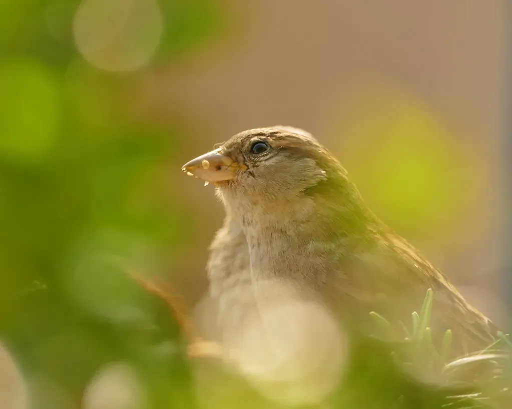 Conclusion (Image Credits: Flickr)