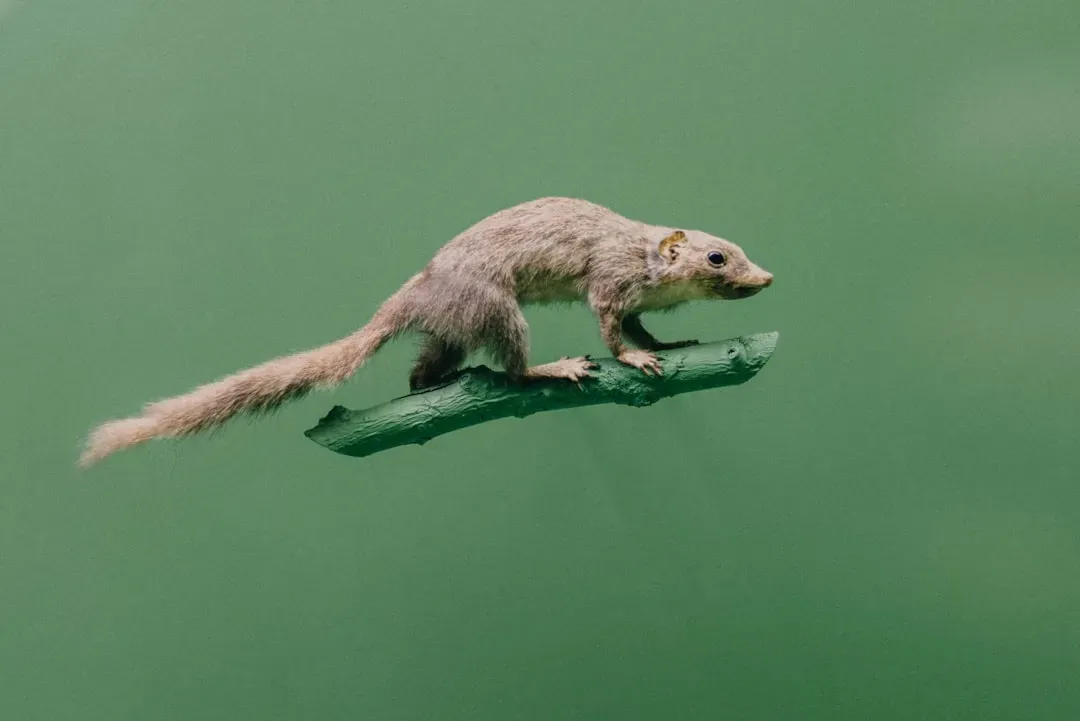 #11 - Hybrid Animals That Break the Species Rulebook (Image Credits: Unsplash)