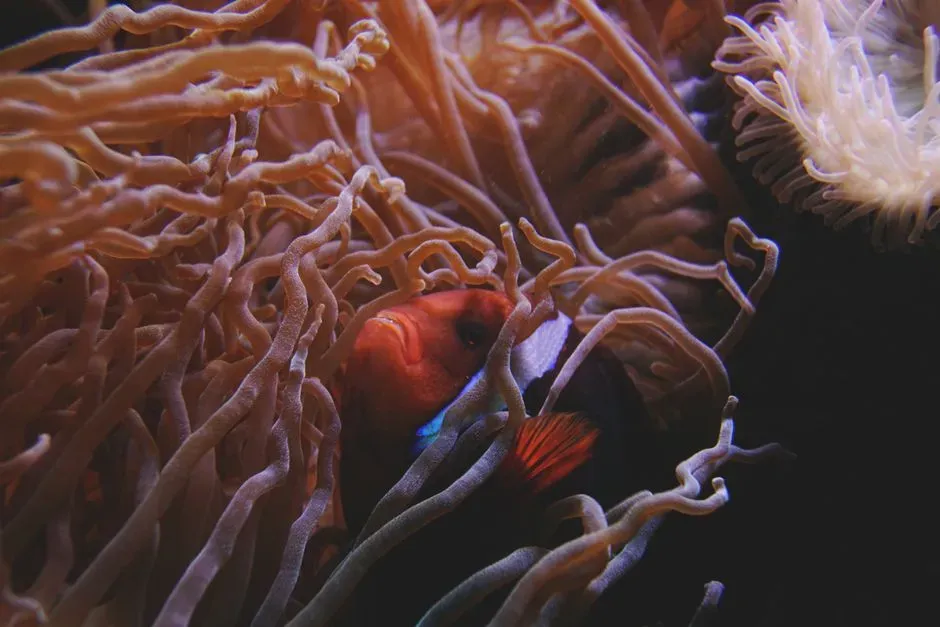 11. Matched Symbiotic Pairs That Behave Like One Organism (Image Credits: Pexels)