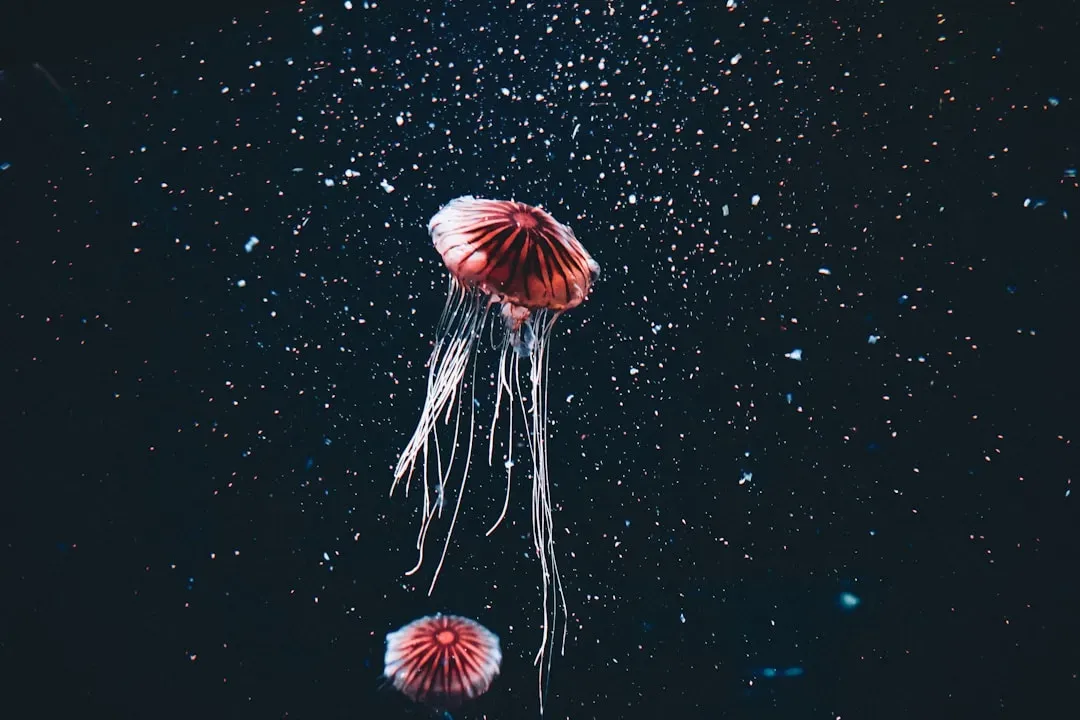 Creatures Living Nearly Six Miles Down (Image Credits: Unsplash)