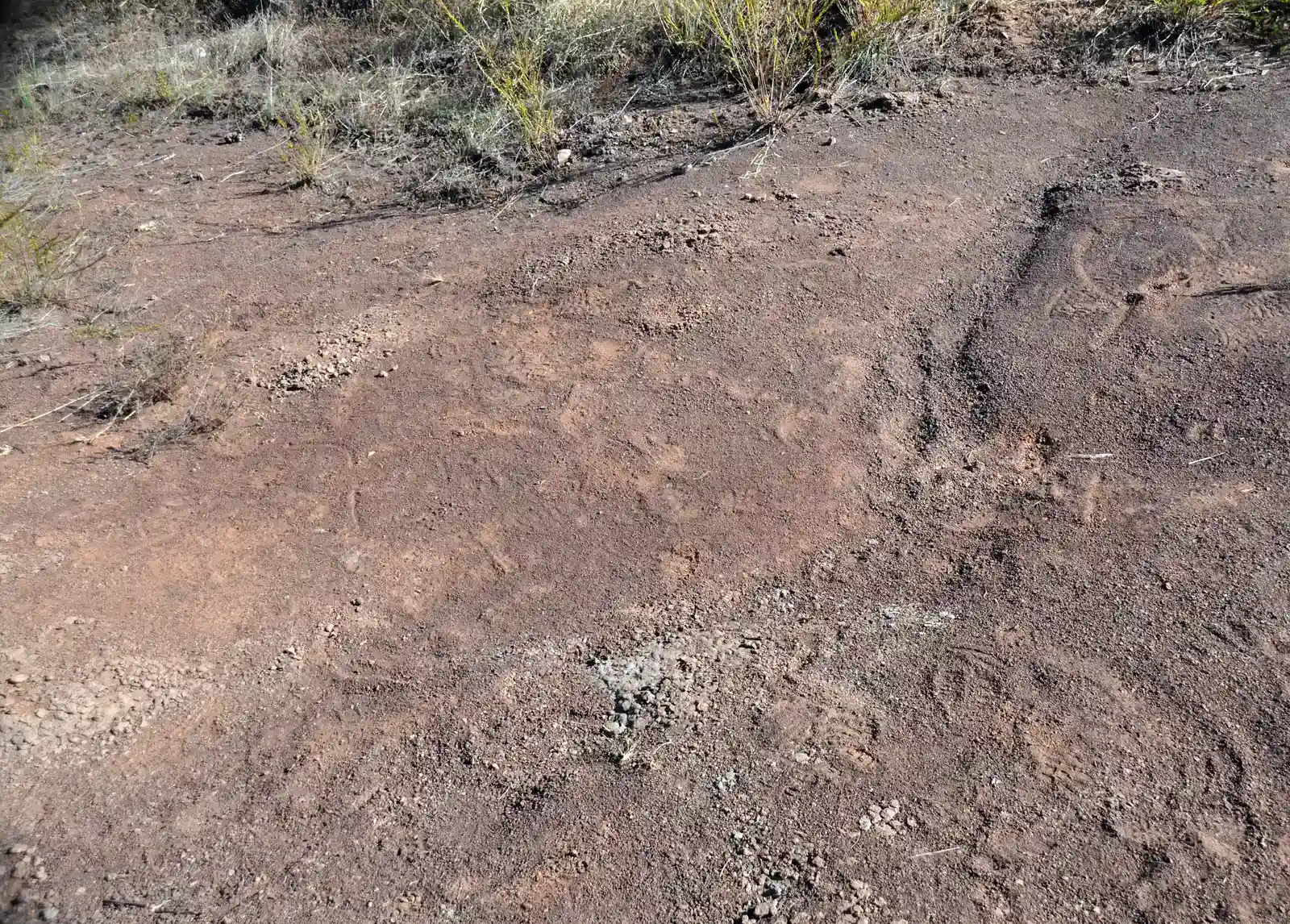 #14 Climate Messages Hidden in Layers of Mud, Salt, and Dust (By James St. John, CC BY 2.0)