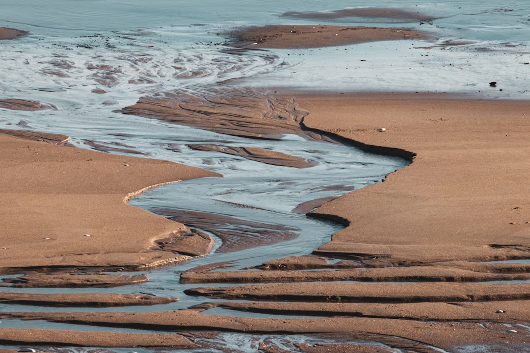 Tidal Rivers: Nature's Daily Flip (Image Credits: Unsplash)