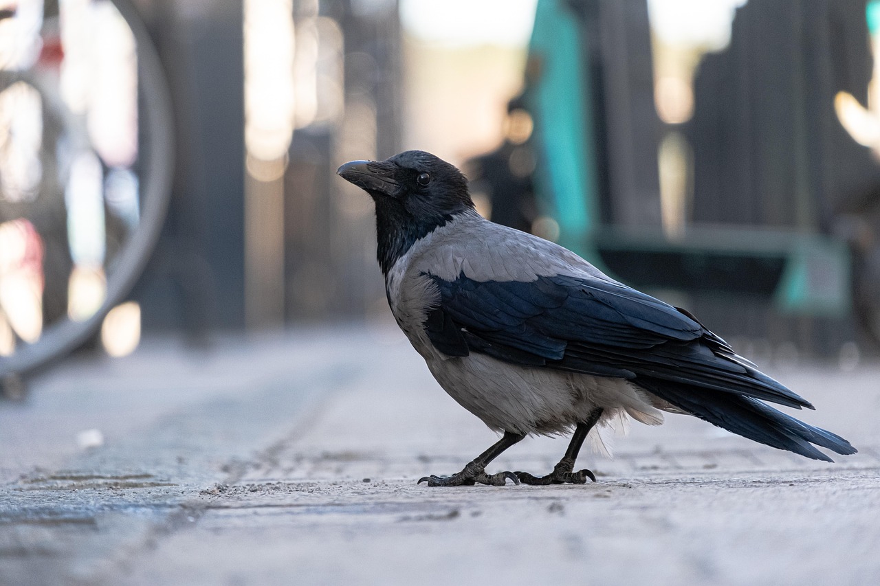 Conclusion (Image Credits: Pixabay)