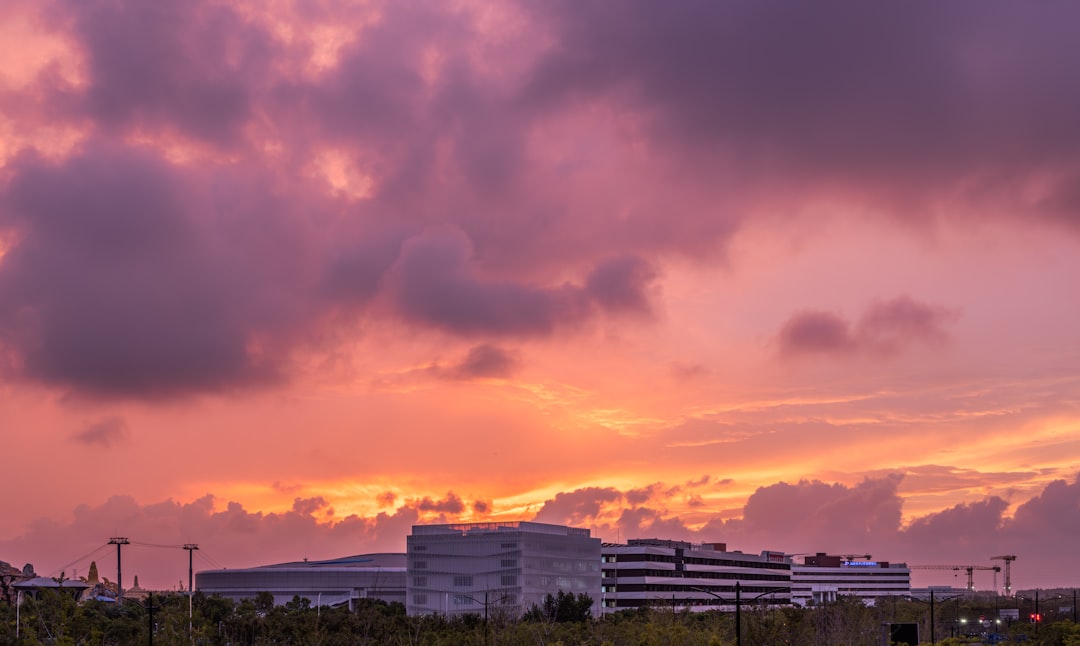 Global Light, Local Decisions (Image Credits: Unsplash)