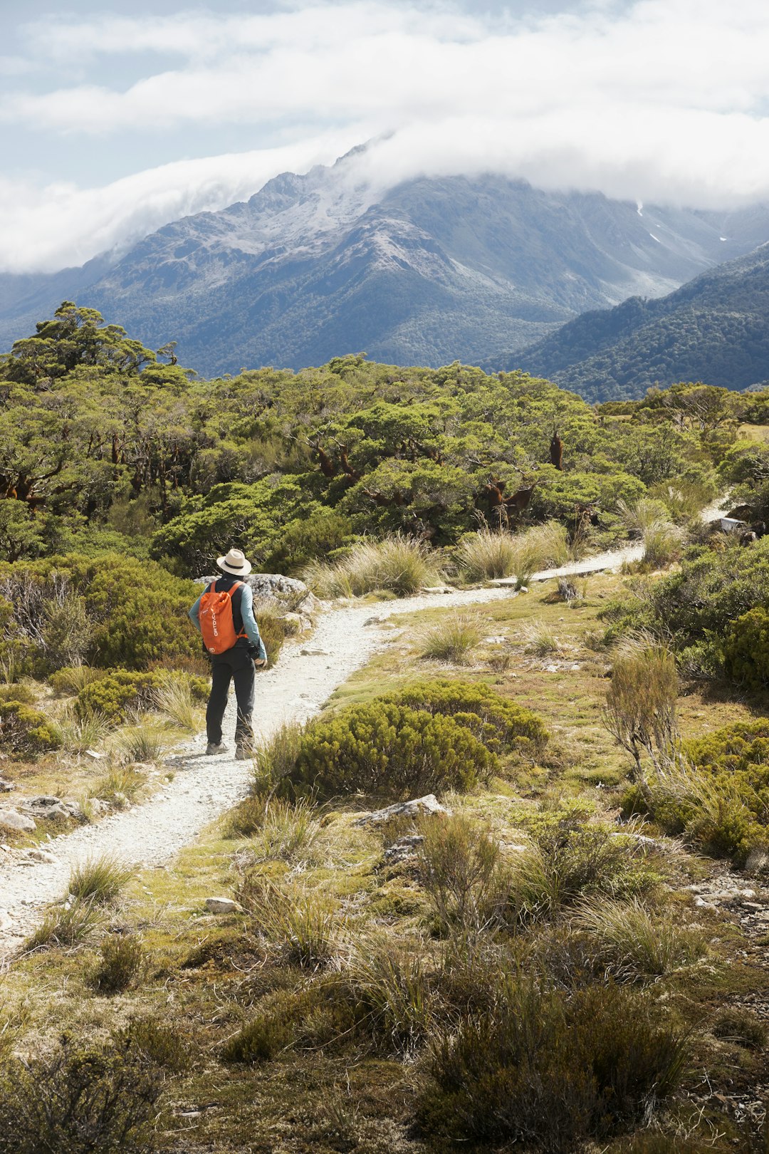 Aquarius: The Independent Explorer (Image Credits: Unsplash)