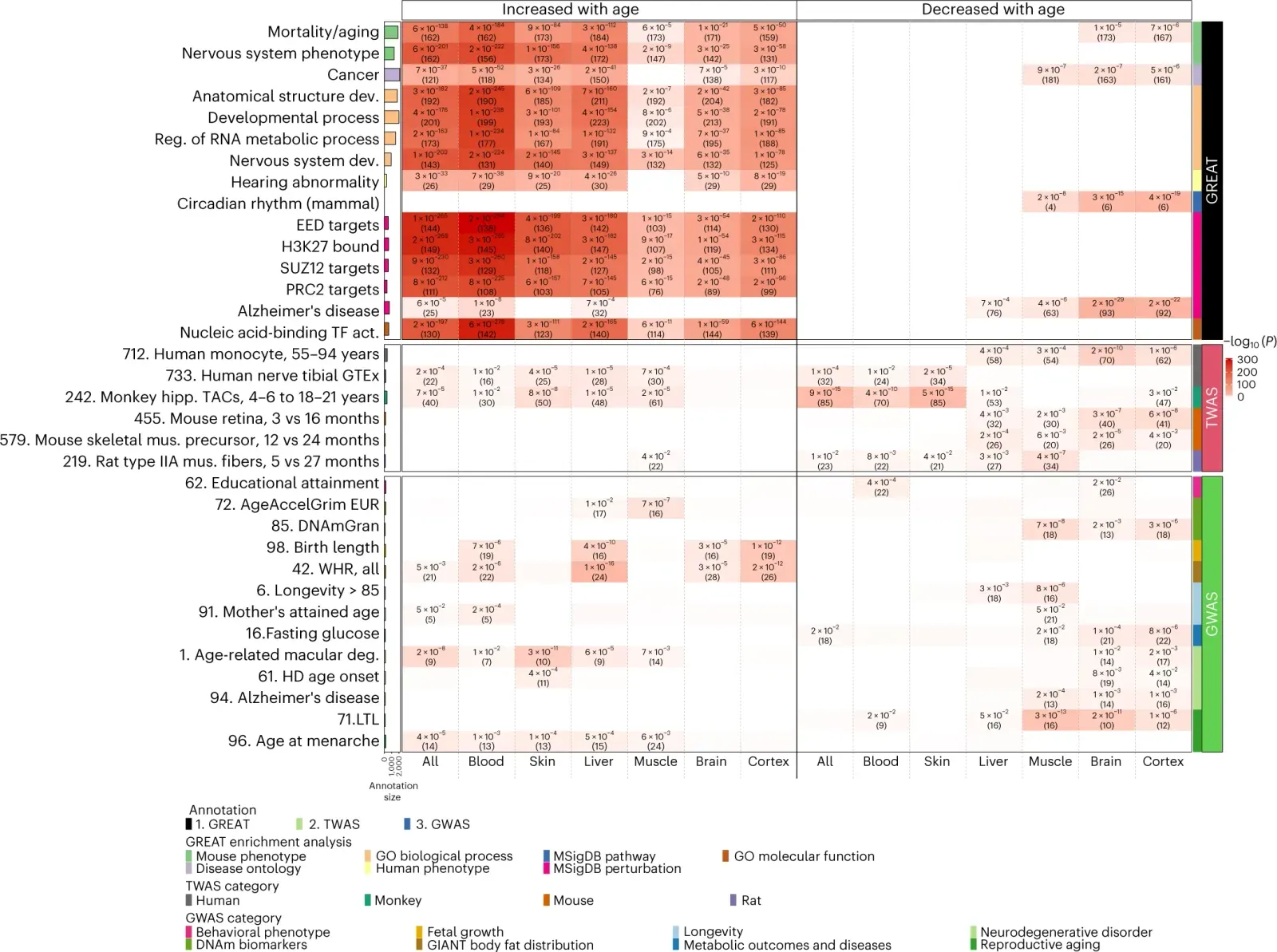 Big Data, Biomarkers, and AI: Mapping How We Actually Age in Real Time (Image Credits: Wikimedia)