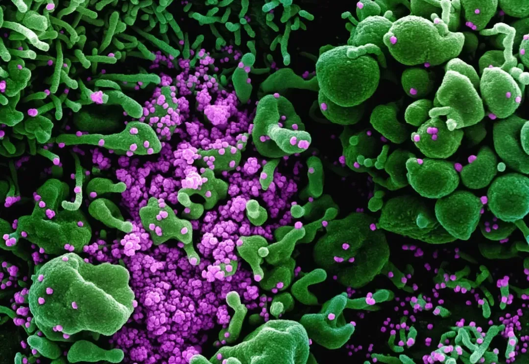 Shadow Biospheres: Aliens Hiding Right Here on Earth (Image Credits: Unsplash)