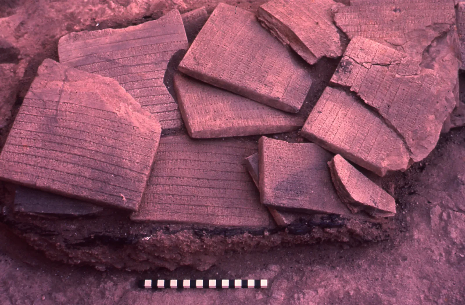 #7 - Multiple Independent Copies Preserve the Same Impossible Numbers (This image is available from National Library of Israel under the digital ID: 997008872724705171, CC BY 4.0)