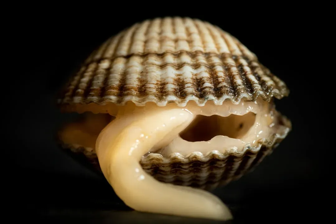 #14 - The Bivalve That Actually Hunts (Image Credits: Unsplash)