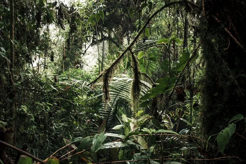 Rainforests: Biological Gold Mines Still Full of Secrets (Image Credits: Pexels)