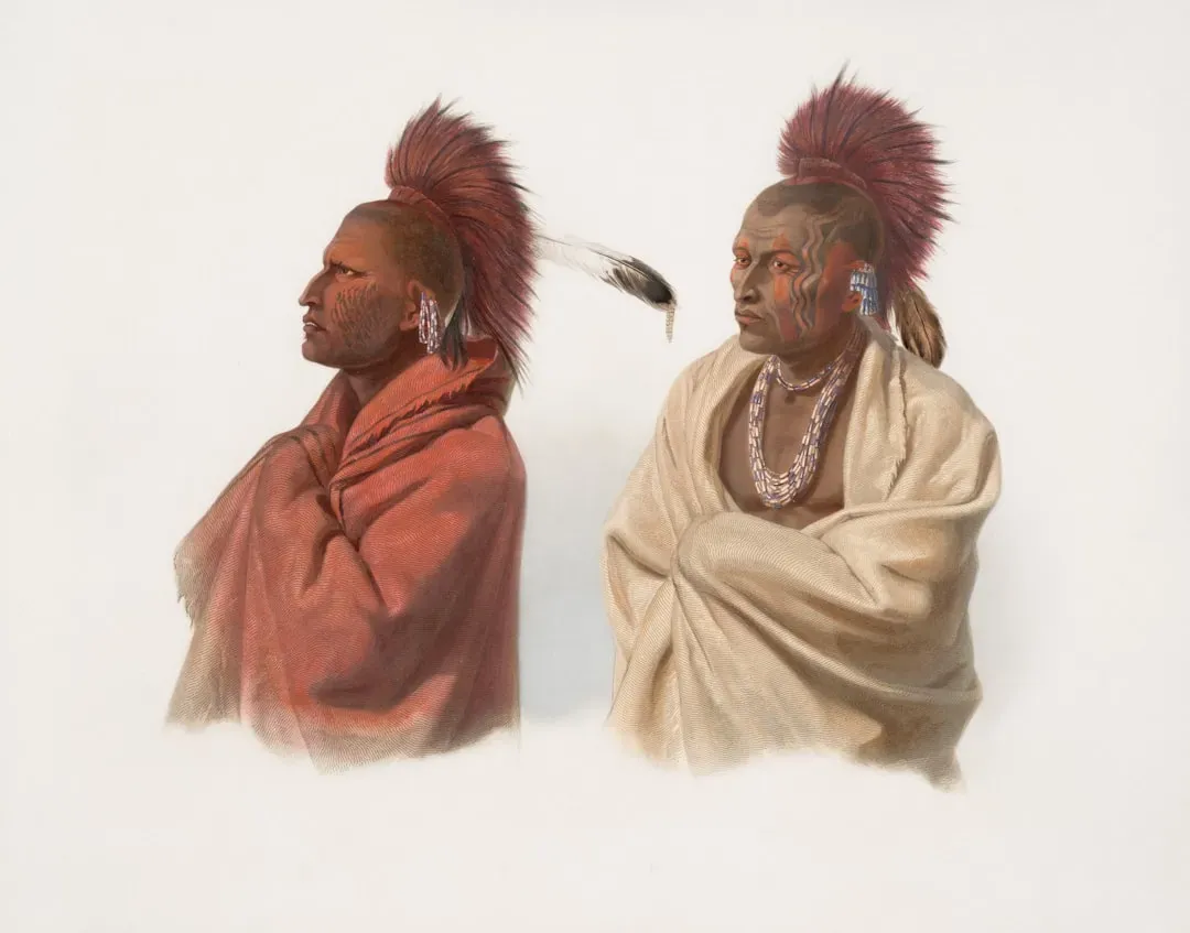 Contemporary Environmental Programs and Mohawk Leadership (Image Credits: Unsplash)