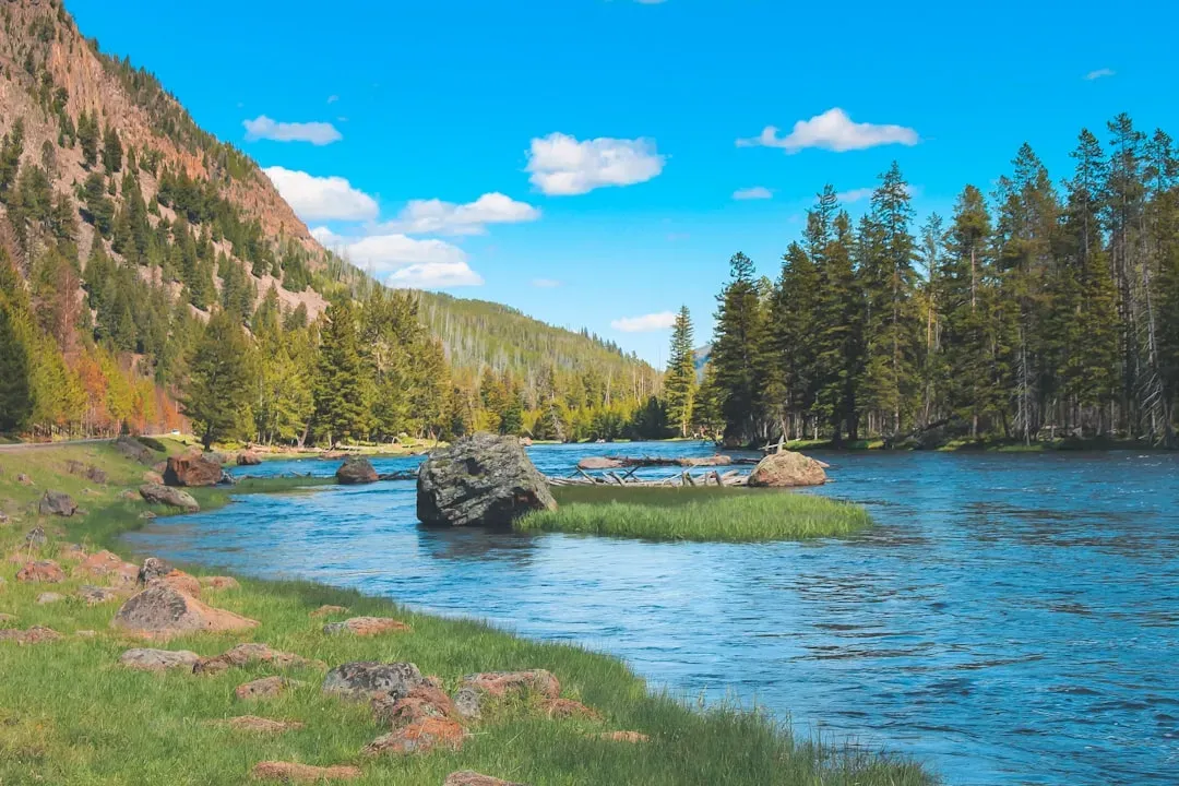Conclusion: Yellowstone Is More Beautiful – And More Ruthless – Than The Brochures Admit (Image Credits: Unsplash)
